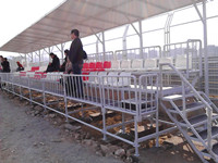 绿蛙菊花扣式可拆卸拼装看台