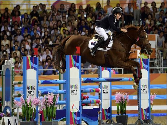 绿蛙看台正式亮相南京青奥会马术比赛