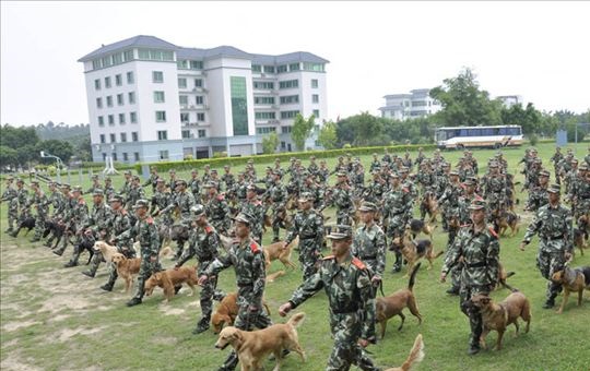 广州武警警犬训练基地固定看台