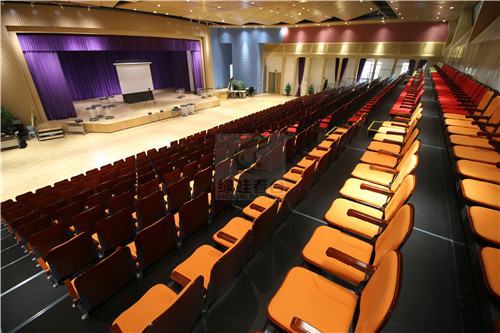 绿蛙成功落户于乐湾国际实验小学多功能厅