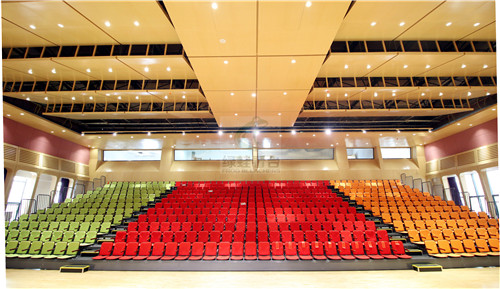 绿蛙成功落户于乐湾国际实验小学多功能厅