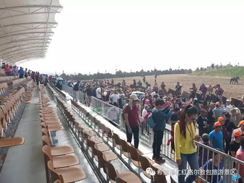 绿蛙看台在红格尔敖包邀您欣赏《漠南传奇》