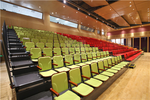 绿蛙成功落户于乐湾国际实验小学多功能厅