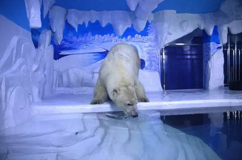 绿蛙看台进驻多彩贵州城贵阳龙川极地海洋世界