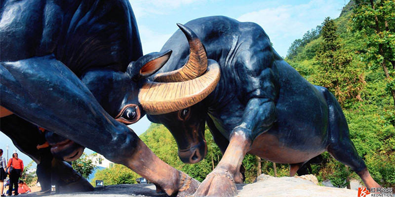 绿蛙看台带你到云台山斗牛场