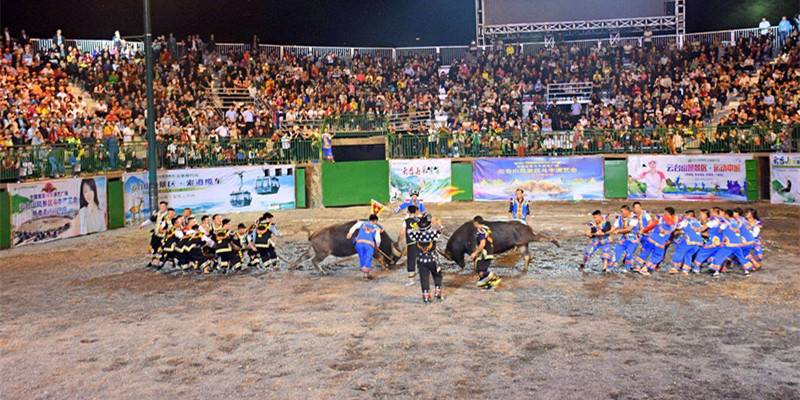 绿蛙看台带你到云台山斗牛场