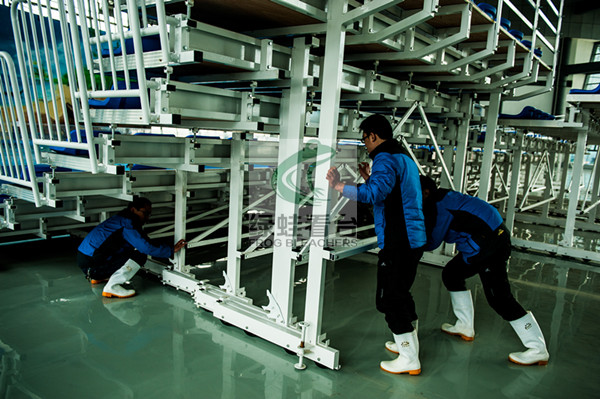 绿蛙可移动式伸缩看台座椅