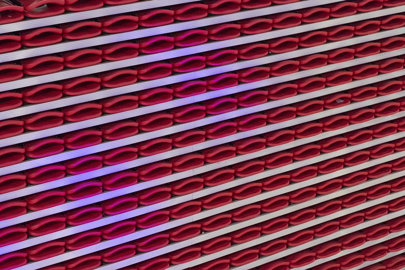 湛江北师大附属学校体育馆看台