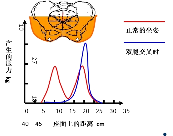 坐姿分析和看台座椅设计的知识