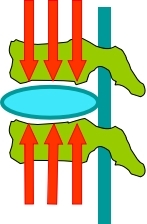 坐姿分析和看台座椅设计的知识