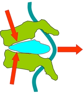 坐姿分析和看台座椅设计的知识