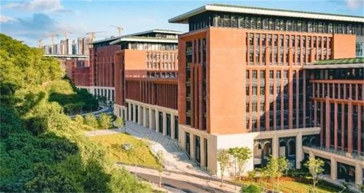 中山大学深圳校区体育馆游泳馆看台座椅